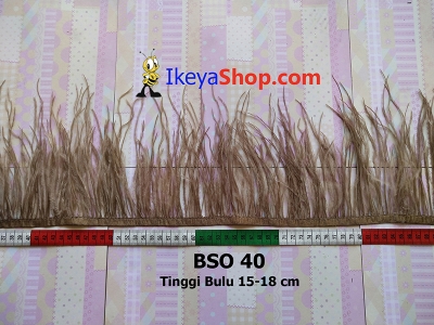 BSO 40  large2